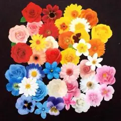 大人気☆40枚‼︎フラワー フレークシール 即完売のため再々再入荷♡