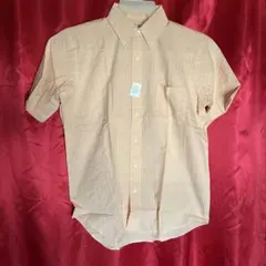 Item thumbnail for item f0a24cd6-fff1-443e-a3cb-c44c9126056e