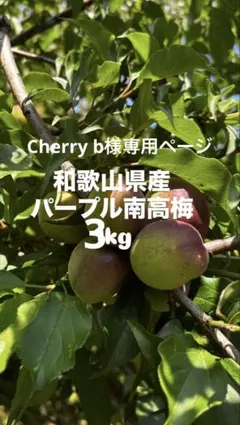 Cherry b様専用ページ パープル南高梅 3kgのサムネイル
