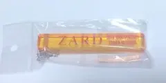 坂井泉水 ミュージシャン