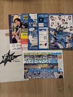 【おまけ付】日本ハムファイターズ FFES 2025 パンフレット 一式