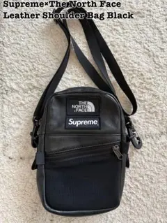 2025年最新】supreme ノースフェイス レザー バッグの人気アイテム