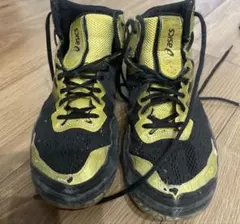 ★ レスリングシューズ　ボクシング　アシックス　格闘技　24cm ★