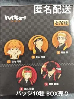 ハイキュー‼ 缶バッジ 1BOX（10個）応援団