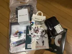 2枚セット】2026 WBC オリジナルクリアバッグ引換券（3月10日引換