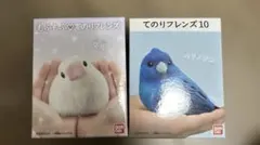 てのりフレンズ　10 もふもふ　新品　未使用　未開封