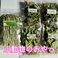 Item thumbnail for item 8638ce6d-1173-4518-aa34-294e4a539313