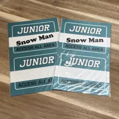 【美品】JUNIOR Snow Man ステッカー2セットのサムネイル