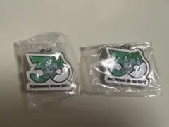 ポケモン 30周年チャーム フシギダネ2個セット
