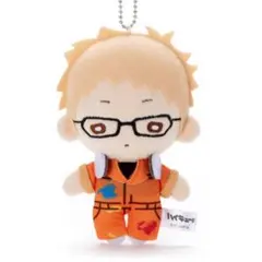 2026年最新】月島蛍 にとたんぬいぐるみの人気アイテム - メルカリ