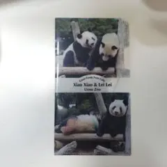 2026年最新】上野動物園シャオシャオレイレイの人気アイテム - メルカリ