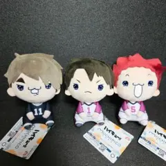 ハイキュー もちぴこぬいぐるみ 宮治 牛島若利 天童覚