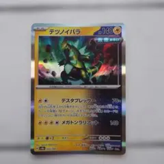 ポケモンカード　テツノイバラ