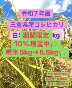 【期間限定10%増量中】令和7年産　三重県産コシヒカリ　精米5.5kgのサムネイル