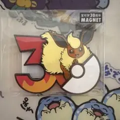 中国限定 ポケモン30周年記念 メタルマグネット ブースター