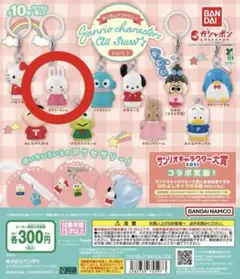 サンリオキャラクターズ めじるしアクセサリー チアリーチャム