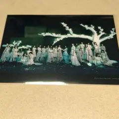 SIRO様 リクエスト 2点 まとめ商品