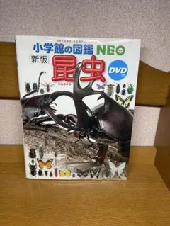 DVD無し　小学館の図鑑　昆虫2.11