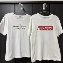 Item thumbnail for item e4418eae-3d9c-43b2-b0bf-f9104766d825