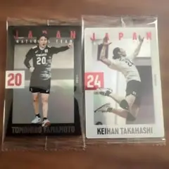 バレーボール トレーディングカードセット　20 24