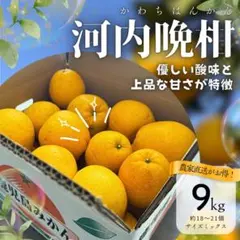 【農家直送で鮮度抜群】【河内晩柑】【9キロ】河内晩柑　和製グレープフルーツのサムネイル