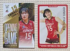 SVリーグ デンソーエアリービーズ 柳千嘉①