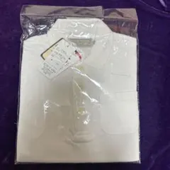 Item thumbnail for item 46adb226-c03f-483d-b191-41bfe285fd4a