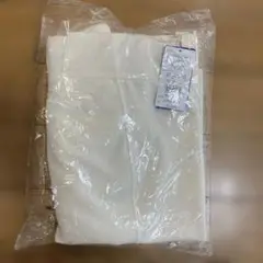ミズノ　ユニホームパンツ　ショートフィット　アイボリー　サイズ:O