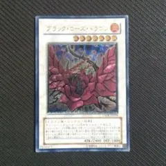 2026年最新】レリーフ ブラックローズドラゴンの人気アイテム - メルカリ