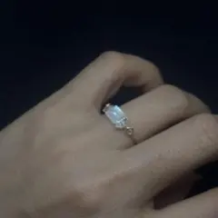 Item thumbnail for item d9abe18b-5cb1-4709-8f34-f3effef38347