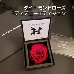 Item thumbnail for item 3aca4b8d-acd0-4a20-98d7-34860bf1b619