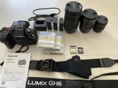 美品】LUMIX G9PROII レンズ4本セット Leica10-25他 - メルカリ