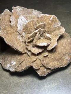 2026年最新】砂漠のバラ デザートローズの人気アイテム - メルカリ