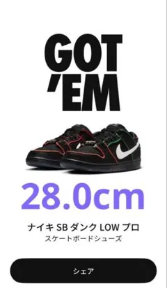 Bronx Girls Skate × Nike SB Dunk Low Pro