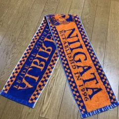 【アルビレックス新潟】タオルマフラー Jリーグ 応援グッズ オレンジ×ブルーのサムネイル