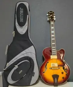 2025年最新】Ibanez AF105の人気アイテム - メルカリ