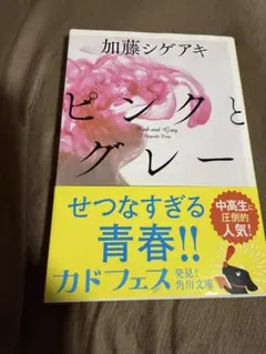 ピンクとグレー 加藤シゲアキ 角川文庫