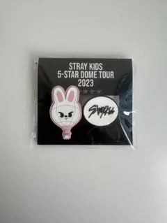 straykids 5starファンクラブくじ特典クリップリノ