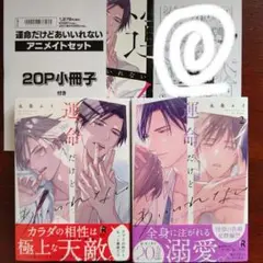 運命だけどあいいれない１·２巻　永条エイ　小冊子　特典ペーパー
