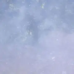 ゆきまる様 専用ページ