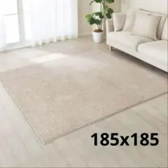 ニトリ 抗菌防臭 やわらかシャギーラグ（PBシャギー BE 185×185）