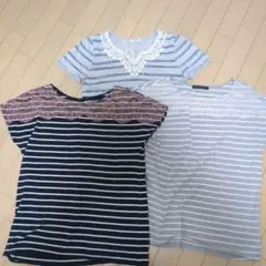 ストライプデザイン 半袖Tシャツ 3枚セット