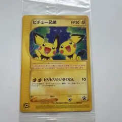 美品】ポケモンずかんカード ピカチュウ&ピチュー兄弟プリズムクリア未