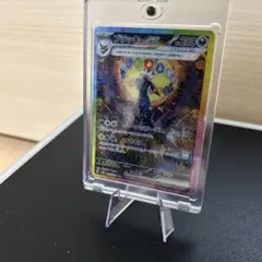 ⭐️大特価⭐️テラフェス　ブラッキー　SAR