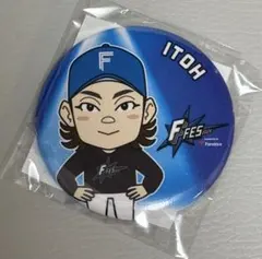 伊藤大海 記念グッズ