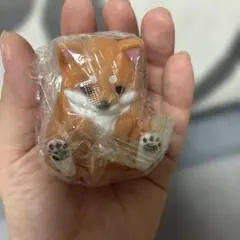 柴犬 フィギュア ガチャ カプセルトイ　やわもっちまめしば　あかしば