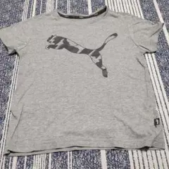 PUMA カモフラージュ Tシャツ グレー