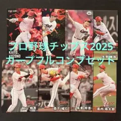 プロ野球チップス2025 広島東洋カープ　8種フルコンプリートセット