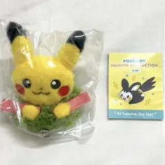韓国限定 30周年 ポップアップ ガチャ ポケモンヘアピンコレクション