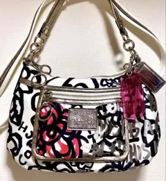 COACH コーチ　ポピーシリーズ　グラフィックプリント 2wayバッグ　レア